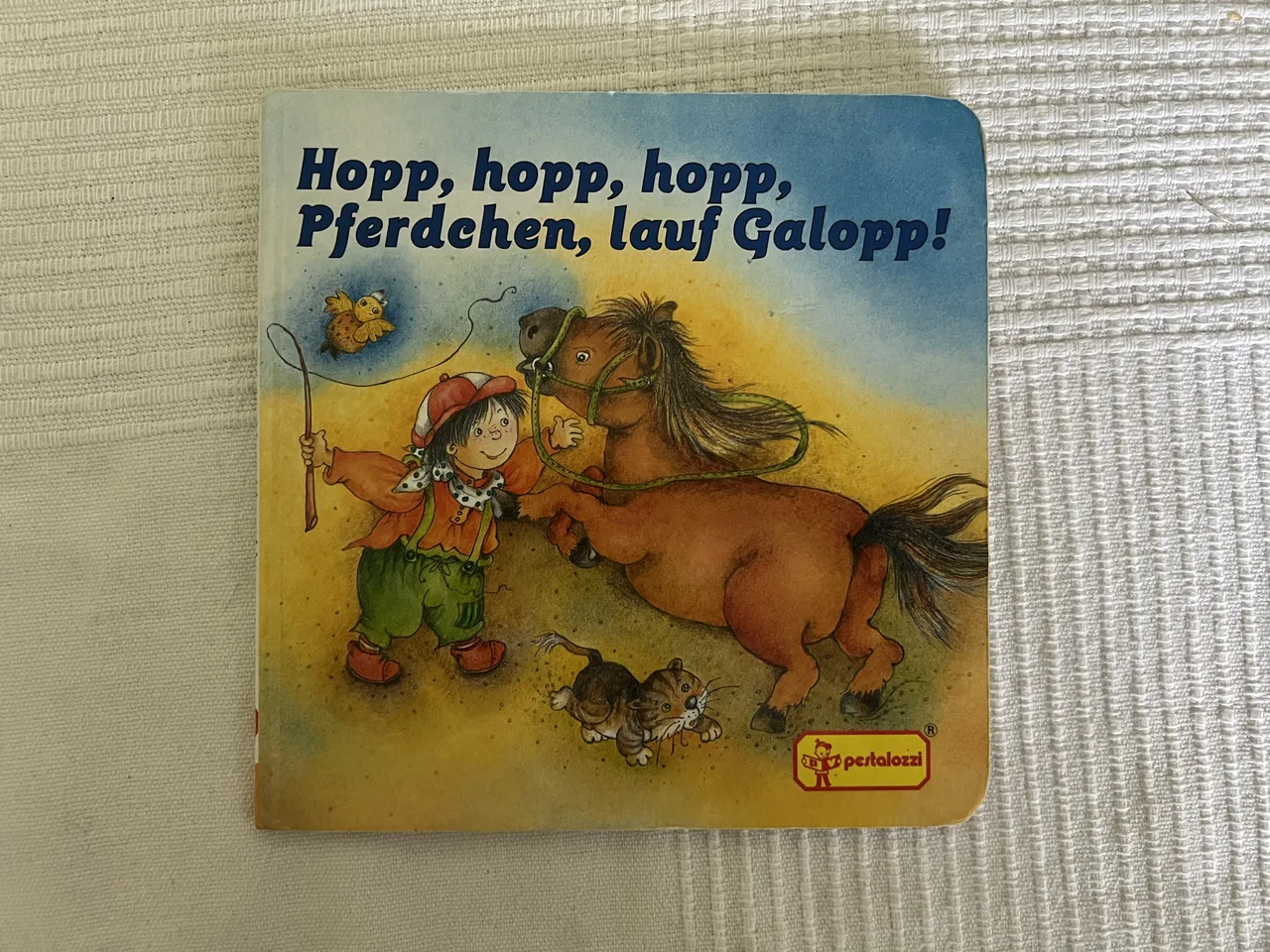 Hopp, hopp, hopp, Pferdchen, lauf Galopp! – Bild 1