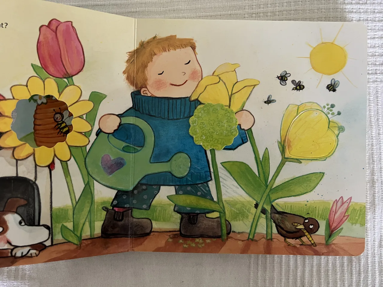 Klitzekleine Krabbeltiere – Buch mit Drehscheibe – Bild 4