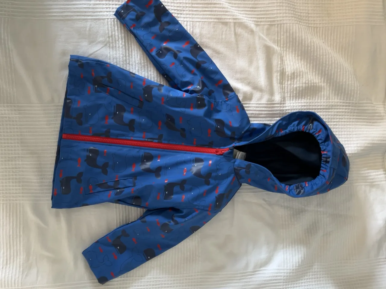 Baby Club Regenjacke Gr. 92 – blau mit Walen – Bild 1